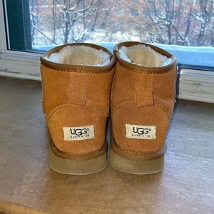 Chestnut UGG